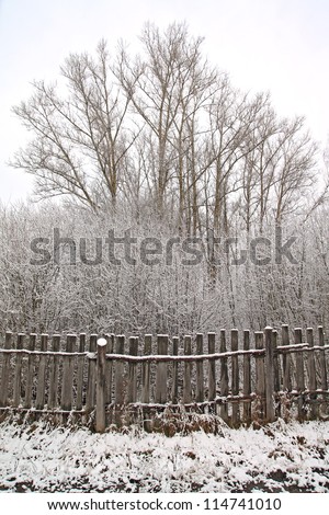 old fence in winter wood