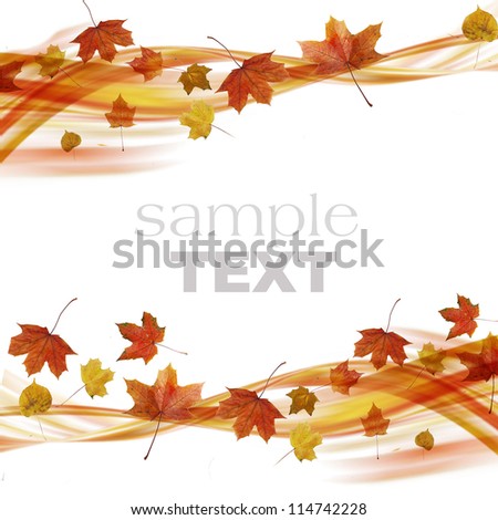 Wave from Autumn Leaves isolated on white background