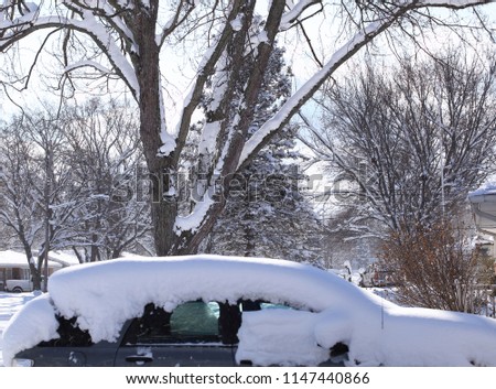 Car covered by snow in winter season