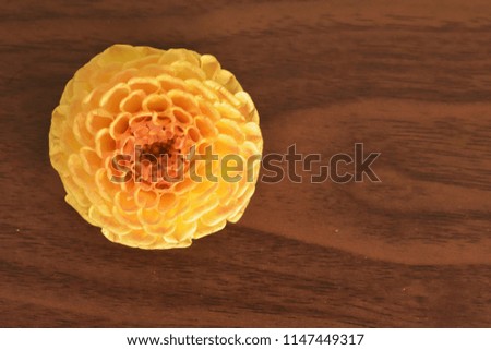 Flowers on wooden background Royalty free stock images