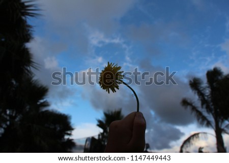 A nice photo of a flower being held up against the sky. 