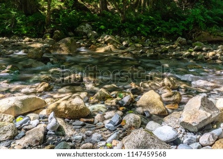 Shannon Creek in Stawamus Chief Provincial Park British Columbia Canada