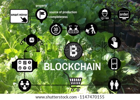 The concepts of network isolation technology distribution Blockchain trading symbol in the shopping malls. The background of a green vegetable