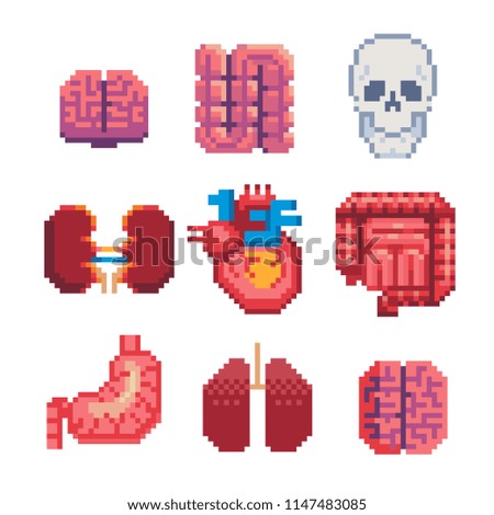 Human organs pixel art icons set. Brain, skull, heart, lungs, intestines, kidneys and stomach isolated vector illustration. Design stickers, logo, app, anatomy, science, medicine, education. 8-bit.
