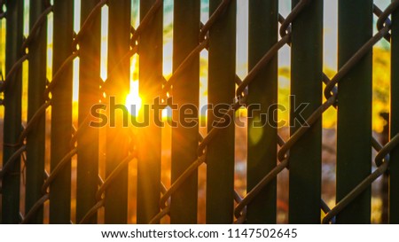 Sun Through the Fence