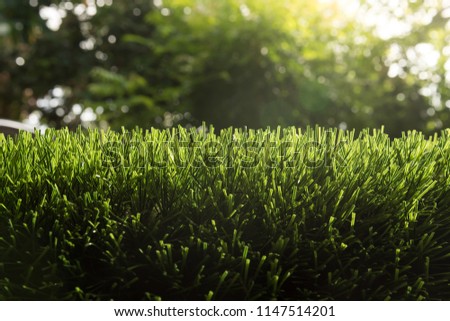 Artificial turf with sunshine