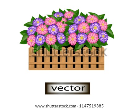 Vector illustration of a flower container made of wooden boards with lush pink and purple flowers for home and garden decoration.