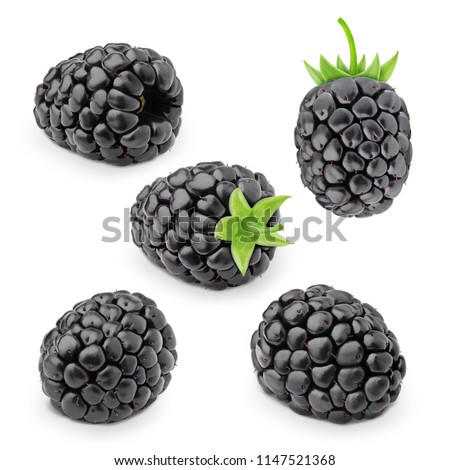 Set of blackberries isolated on a white.