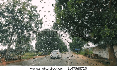 The blurred background of raining and the tree along the way. 