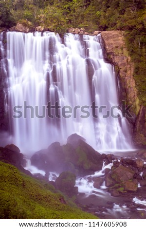 One of the most beautiful waterfalls in New Zealand (Marokopa Waterfall)