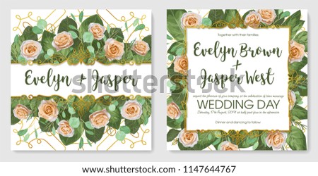 Vector set of beautiful cards, banner, wedding invitation, romantic background, advertisement, label. English cream roses with leaves of green eucalyptus and gold designer frame.
