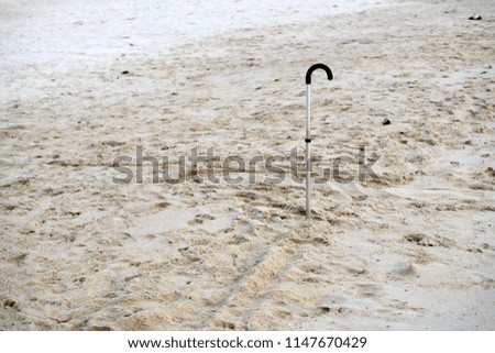 A walking stick, in the beach in the morning