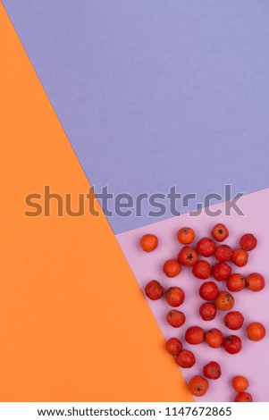 
colorful background with autumn accessories