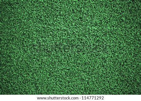 Artificial grass on the football field Royalty-Free Stock Photo #114771292