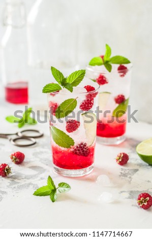 Raspberry Mojito, Syrup, Fresh Berry, Fizzy Water and Mint Cocktail, copy space for your text