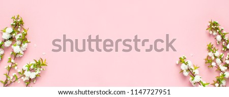 Beautiful gentle spring twigs with white flowers on a pink background top view flat lay with space for text. Greeting card with delicate flowers Pink floral background. Long format