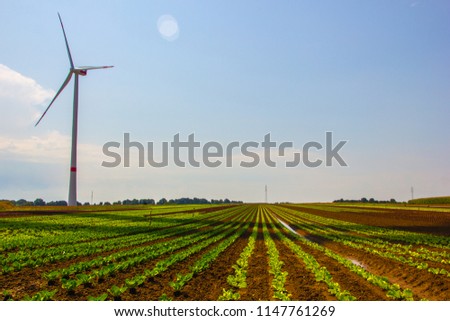Wind turbine with salad agricultural farming in front of it , symbolizing generating clean energy and farming power as an alternative concept for sustainability and environmental act, Germany Royalty-Free Stock Photo #1147761269