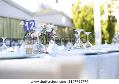 Wedding Birthday Reception Decoration, Chairs, Tables and Flowers