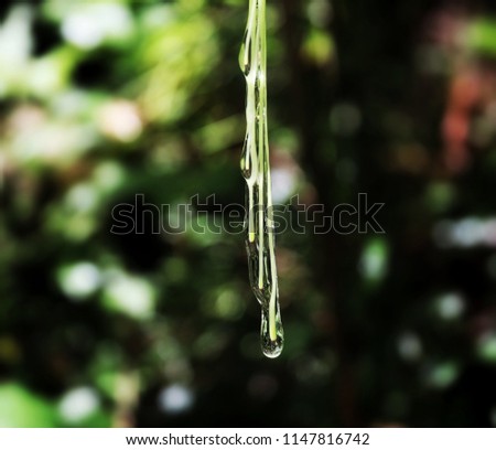 Beautiful water drops , water drops hanging