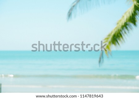 Blur palm leaf on beach abstract background.Travel concept.summer concept