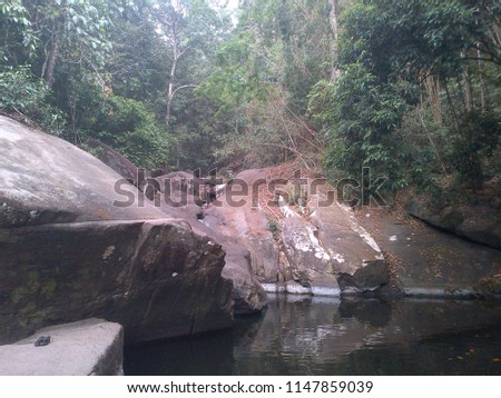small lakes in the jungle