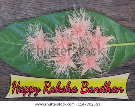 Concept of beautiful soft pink flower and leave on wooden background with greeting word HAPPY RAKSHA BANDHAN