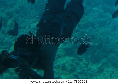 A man is taking pictures under the water
