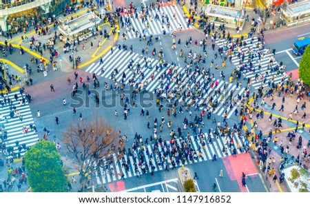 Tokyo, Japan view of Shibuya Crossing  the busiest crosswalks in the world