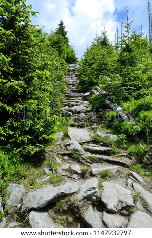 Interesting path from stones in wild nature in Germany,Europe. Colorful spring travel photo