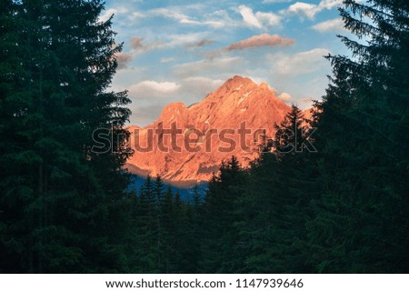 Dramatic sunset in  Dolomites Alps Mountain. Italy. Forest mountain sunset. Pink Mountain peak