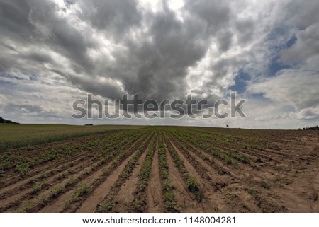 Wide field skyline after rain with dramatic clouds in spring