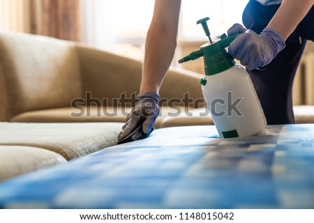 Closeup of upholstered Sofa chemical cleaning with professional extraction method. Man is holding spray. Royalty-Free Stock Photo #1148015042