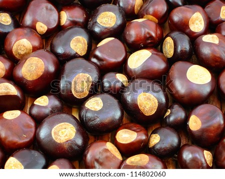 Background of Buckeye nuts Royalty-Free Stock Photo #114802060