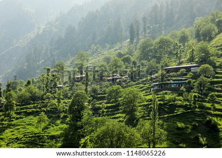 Traditional Houses on the green Rocks in Pakistani Mountains, Gilgit - Baltistan, Pakistan Royalty-Free Stock Photo #1148065226
