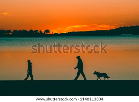 walking dogs at sunrise on beach black