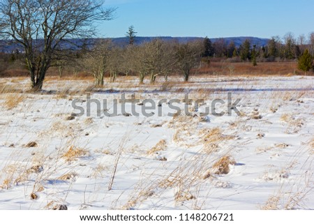 Winter landscape with perspective from a field to the mountains on horizon. A long evening shadows on snow in countryside of West Virginia, USA.