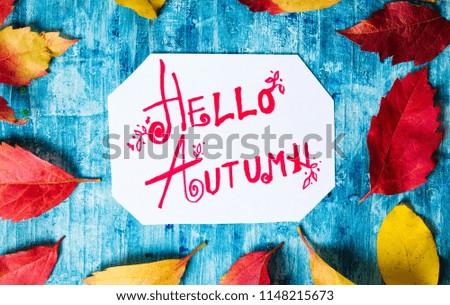 Hello Autumn calligraphy note with fallen leaves on blue board