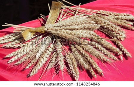 Spikes of wheat close-up. Bouquet of spikelets on the table