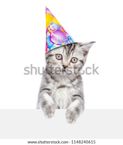 Cat in birthday hat above white banner. isolated on white background