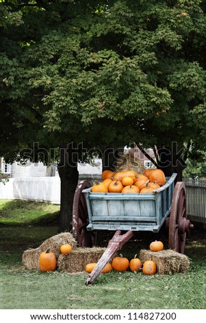 Wagon load full of pumpkins under a shady oak tree for sale.