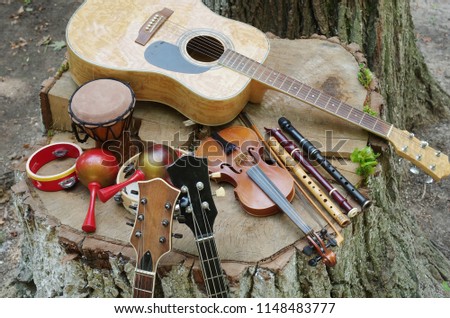 Acoustic guitar, violin, bongos, maracas, tambourine, flute, pipes, cowboy hat on a tree stump