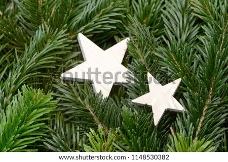 christmas star lying on fir branch