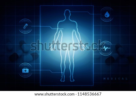 2d illustration Human Male Muscle Body