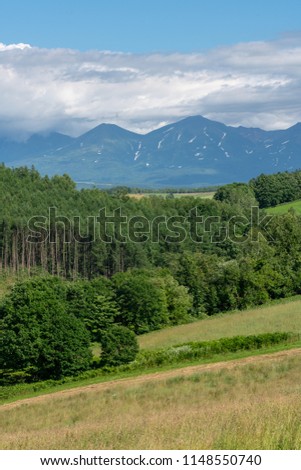 Upright photography of green pine forest with long mountain range background in Biei, Hokkaido,Japan