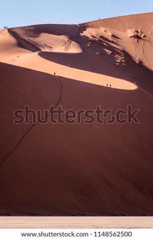 Namib desert and dunes
