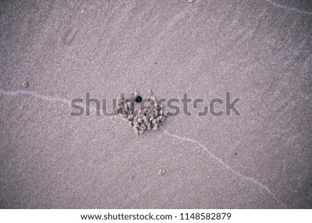 Sandy beach with holes excavated by small creatures.