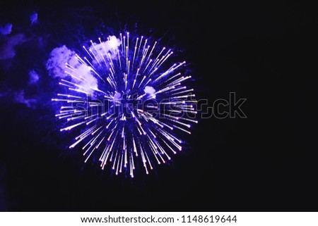 Stunning fireworks blue flowers on the night sky. Brightly fireworks on dark black color background. Holiday relax time with a pyrotechnic show. Festive event accompanied by holiday salves.  