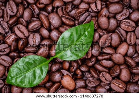 Brown roasted coffee beans  and green coffee leaf, top view