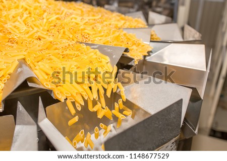 Pasta factory conveyor for pasta production of flour products, technological production factory industrial work, raw macaroni close-up with copy space