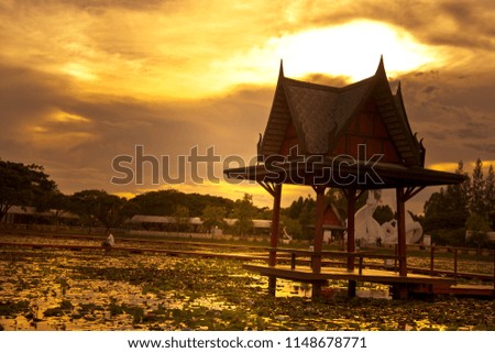 Silhouette the  pavilion in Lotus Park ,Sakon Nakhon  province ,Thailand